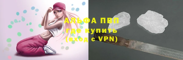 PSILOCYBIN Болохово